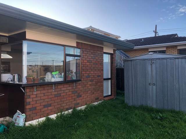 535B Richardson Road Mount Roskill_3