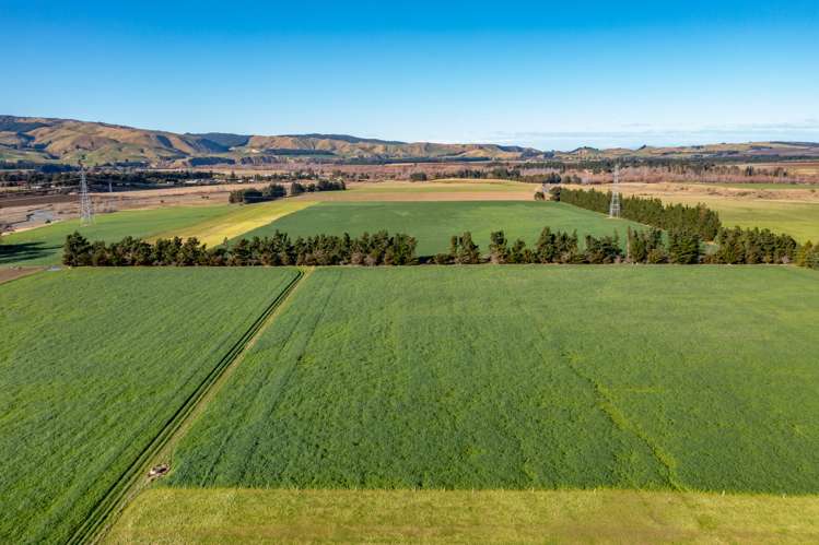 380 Waipara Flat Road Waipara_5