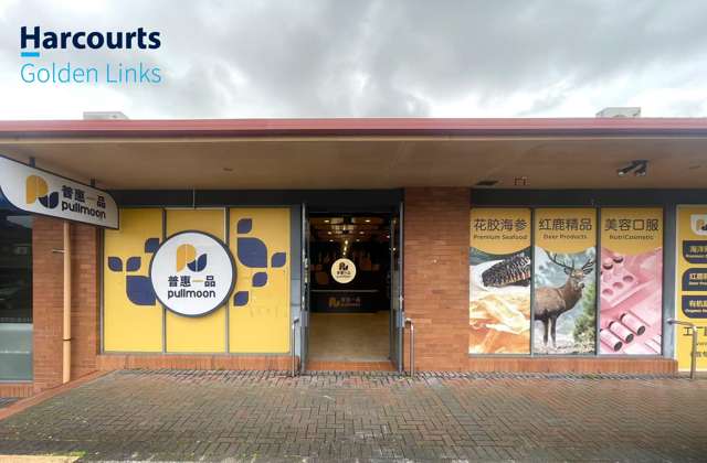 E3/119 Meadowland Drive Somerville_1