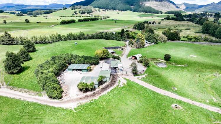 91 State Highway 30 Kinleith_13