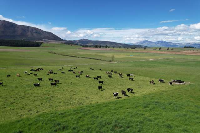 412 Gallagher Road Mossburn_3