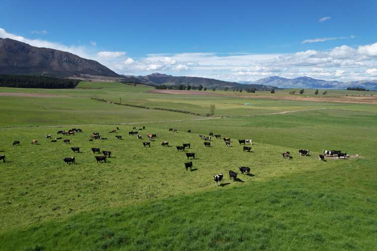 412 Gallagher Road Mossburn_3