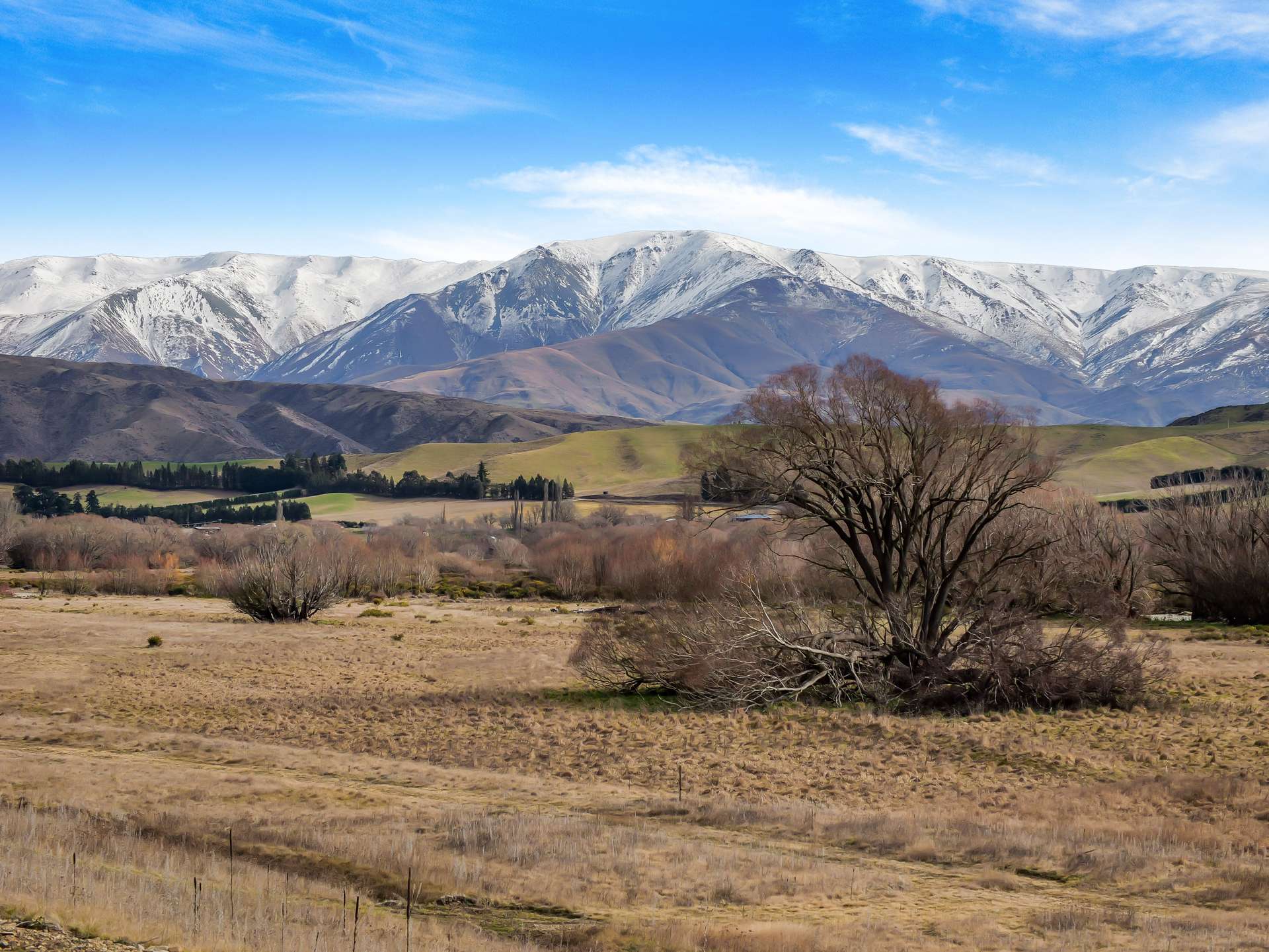 McHenrys Road Kurow_0