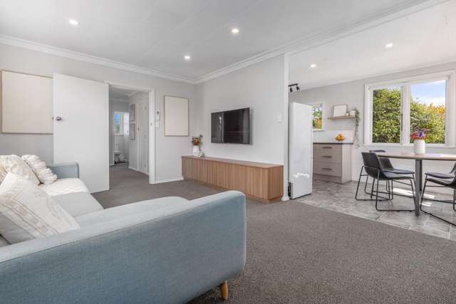 20 Konini Street Levin_1