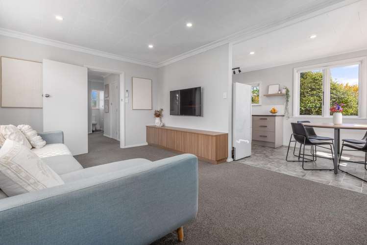 20 Konini Street Levin_1