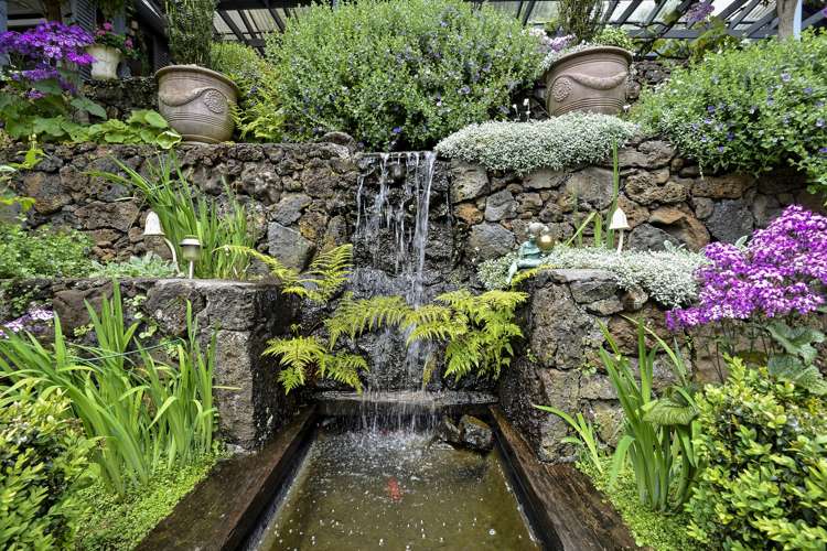 43 Weston Avenue Mount Albert_18