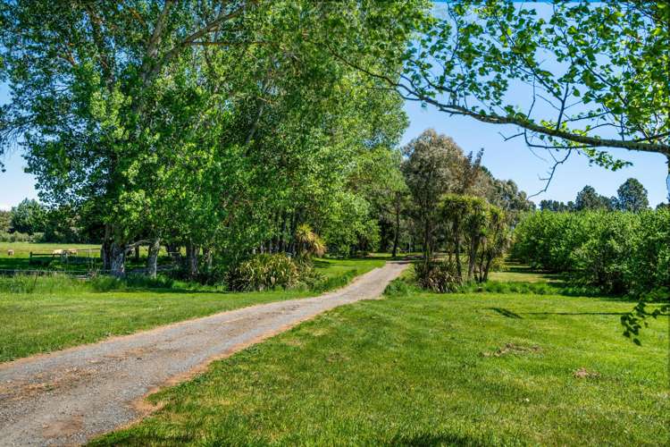 191 Tyntesfield Road Waihopai Valley_31