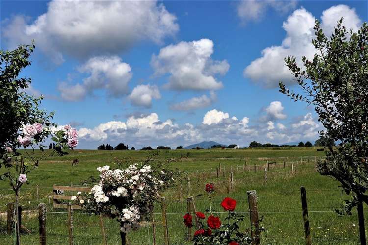 229 Parawera Road Parawera_24