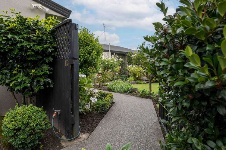 123 Avenue Road Greenmeadows_11