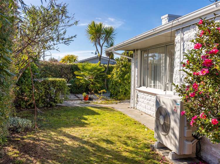 119 Maxwell Road Blenheim Central_12
