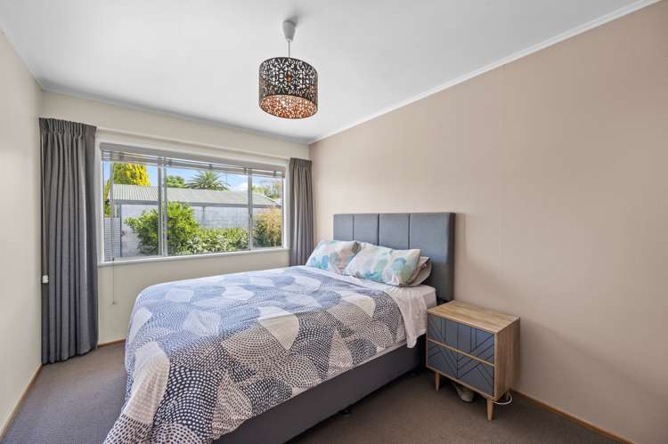 2/173 Vigor Brown Street Napier South_6