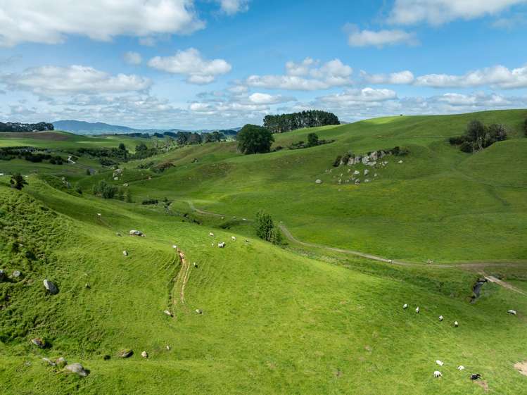 1/400 Brunskill Road Cambridge_20