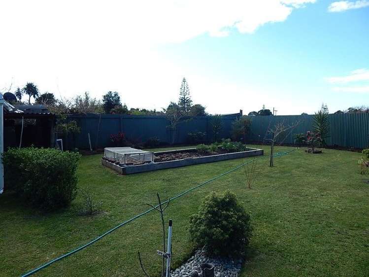 23 Greenfield Street Hector_19