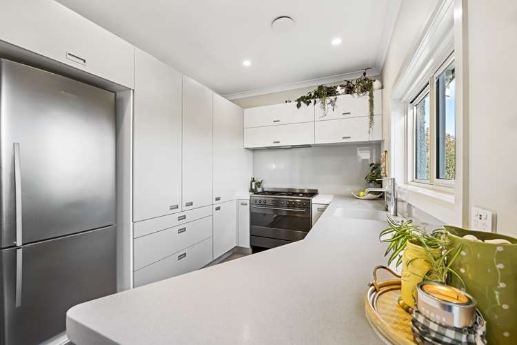 83 Carrington Street Lower Vogeltown_13