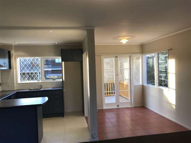 67 Webster Avenue Mt Roskill_1