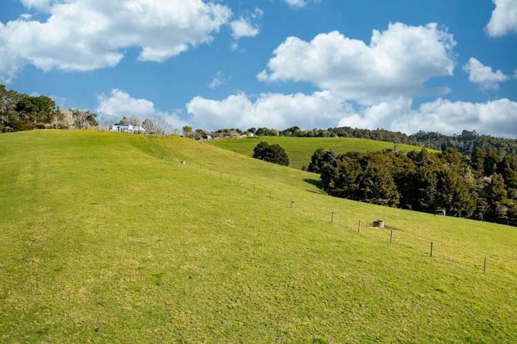 365 Pigs Head Road Hukerenui and Surrounds_11