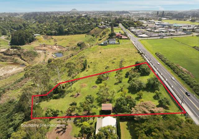 Your Blank Canvas Awaits