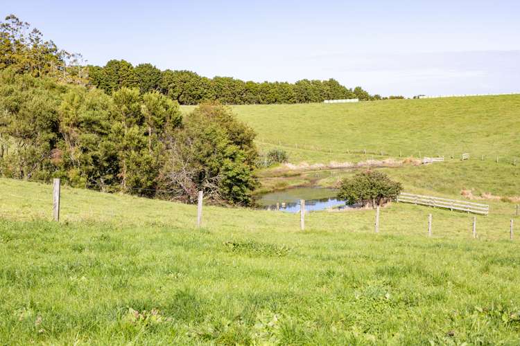 173 Day Road Wellsford_17