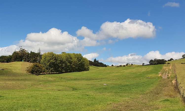 41 Knagg Road Mangapai and Surrounds_7