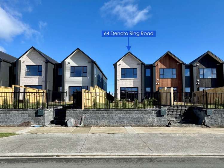64 Dendro Ring Road_0