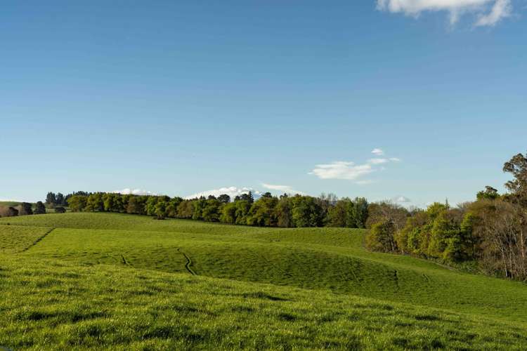 Rowallan Road Darfield_35