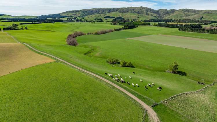 1443 Omihi Road Omihi_25