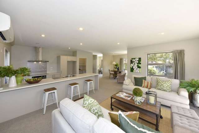 1B Moule Street Addington_4