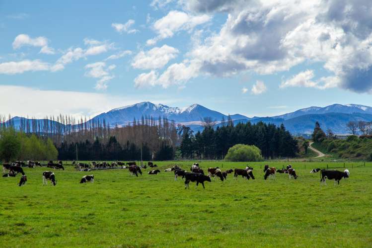 56 Opihi Terrace Road Pleasant Point_23