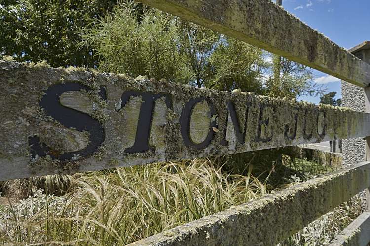 3276 Inland Kaikoura Road Stag And Spey_18