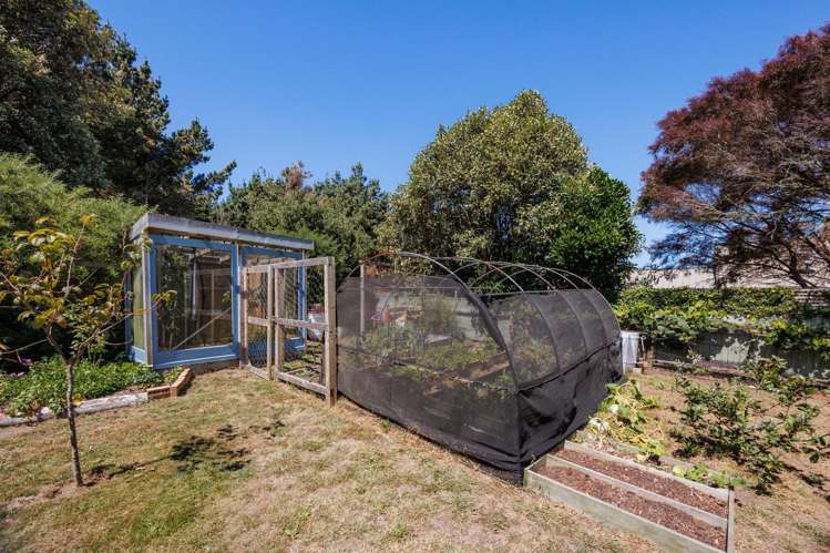 15 Ferry Street Foxton Beach_36