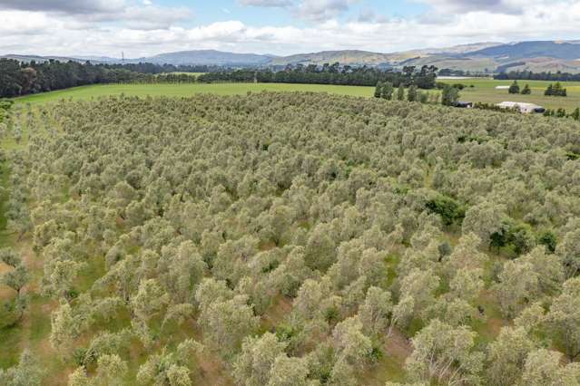 164 Mackenzies Road Waipara_2