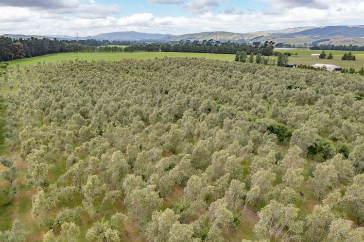 164 Mackenzies Road Waipara_2