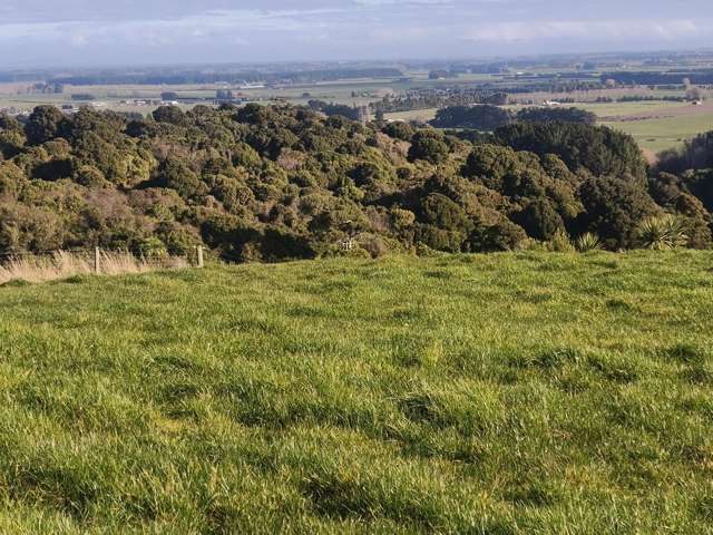 137 Kahikatea Drive Winton_4