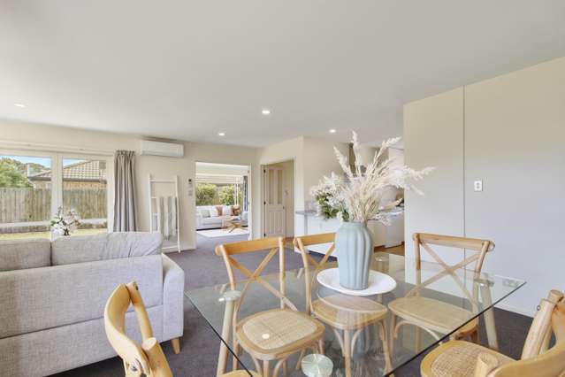 51 Showgate Avenue Sockburn_1