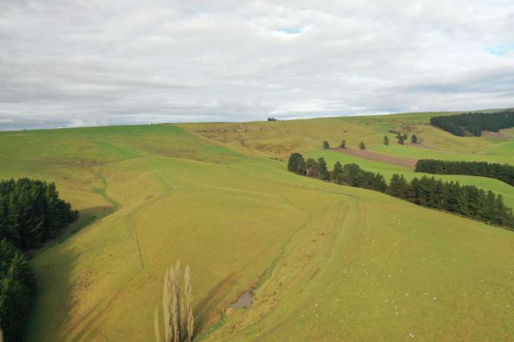 319 Monument Road Pleasant Point_16