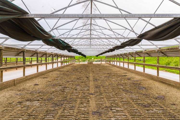 901 Pukehuia Road Tangiteroria_14