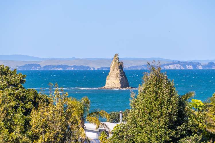 1071 Whangaparaoa Road Matakatia_35