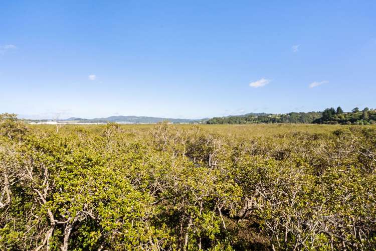 14 Waimahanga Road Onerahi_9