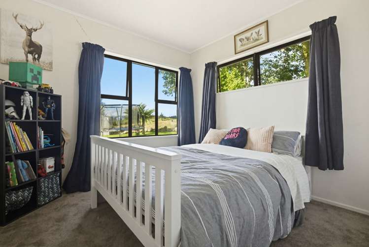 733A Bryce Road Ngakuru_11