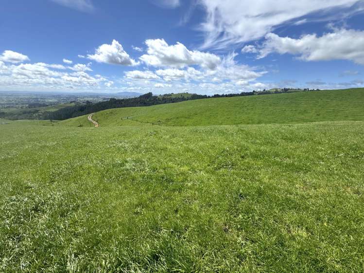 3/585 O'Shea Road Pirongia_7