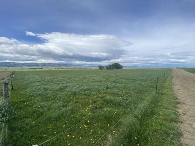 224 Auripo Road Poolburn_4