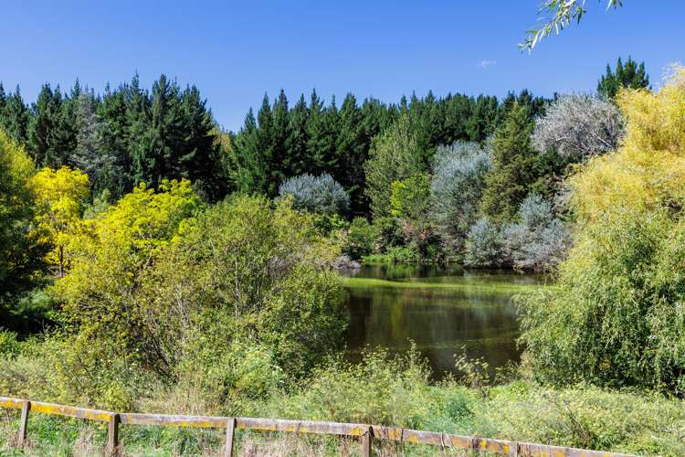 88 Ireland Road Waipawa_25