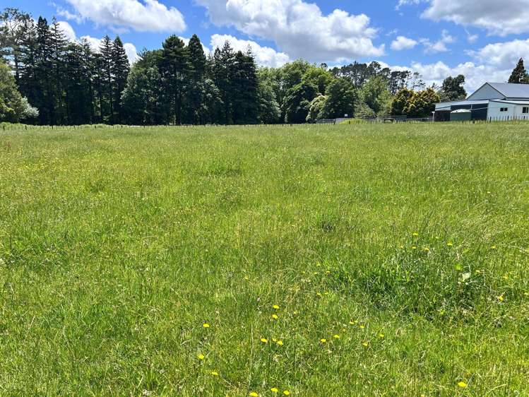 Near 1757 Tarata Road Tarata_6