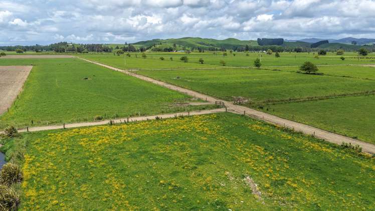 376 State Highway 25 Waitakaruru_3