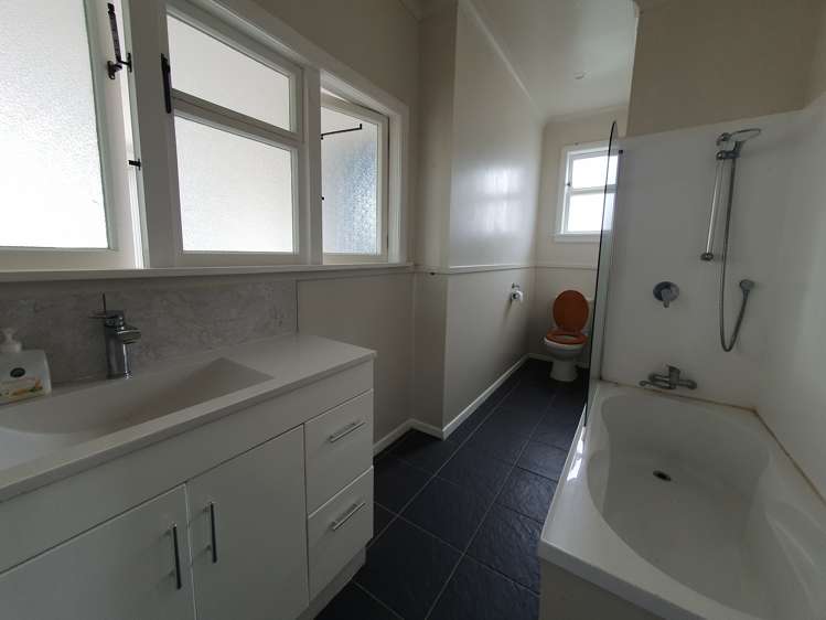 35 Wilton Street Levin_11