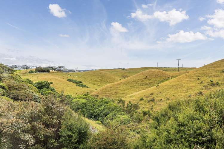 58 Saint Ives Drive_0