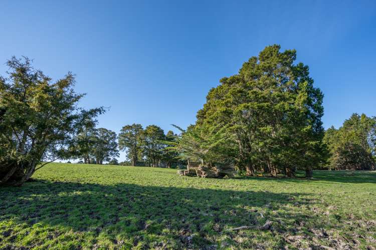 Lot 3-5 Freer Lane Parua Bay_10