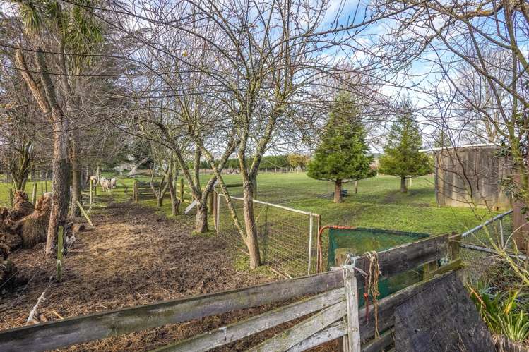 146 Mina Road Cheviot_17