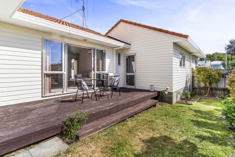 45a Harrier Street Parkvale_13