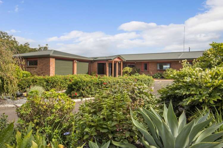 217 Ongare Point Road Katikati_3